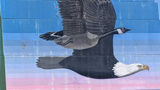 PXL_20210329_230052111