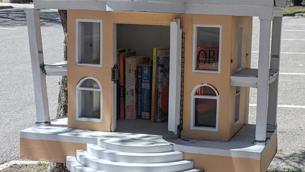 This tiny library, which needs a bit of love, is the subject of this week's game.