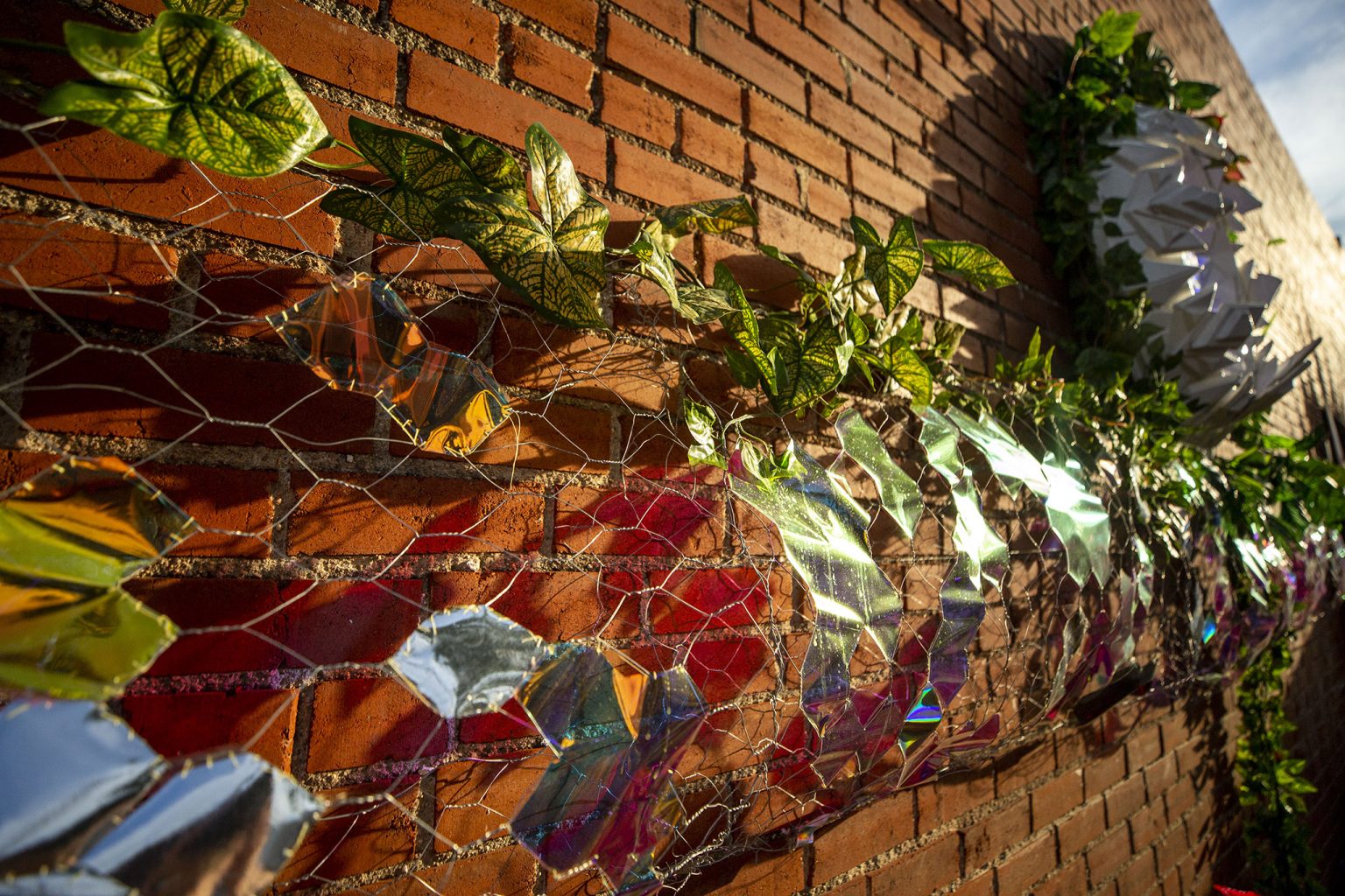 Spectra Art Space opens immersive art installation, Novo Ita, in Denver this summer Denverite