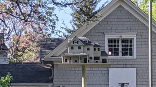 This birdhouse in South Park Hill has a humanhouse that looks just like it.
