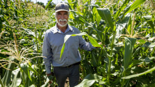 David de Santiago, farm manager with Re:Vision, stands among the nonprofit's corn rows off Morrison Road. Westwood, Sept. 21, 2021.