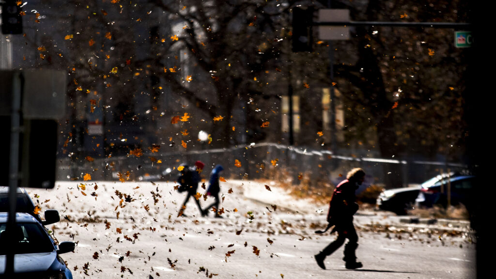 Leaves are airborne on a very windy day over Lincoln Street at Civic Center. Nov. 14, 2020.