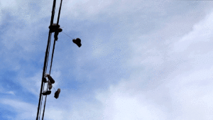 211215-WEST-COLFAX-WINDY-WEATHER-COWX-KEVINJBEATY-06b
