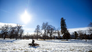 Felix Merino walks eleven dogs at City Park. Jan. 4, 2022.