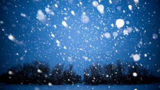 A snowy day over Garfield Lake in Mar Lee. Jan. 5, 2022.