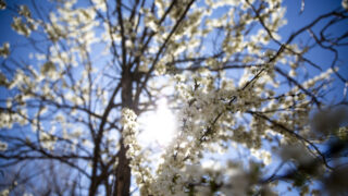 Hello, you gorgeous sneeze machine. April 29, 2022.