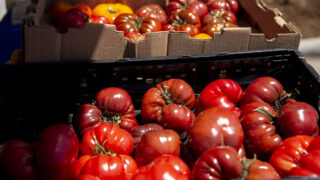 Heirloom tomatoes for sale at the East Denver Food Hub's stand at Noir Market, held in front of Tepeyac Community Health Center's new building in Elyria Swansea. April 30, 2022.