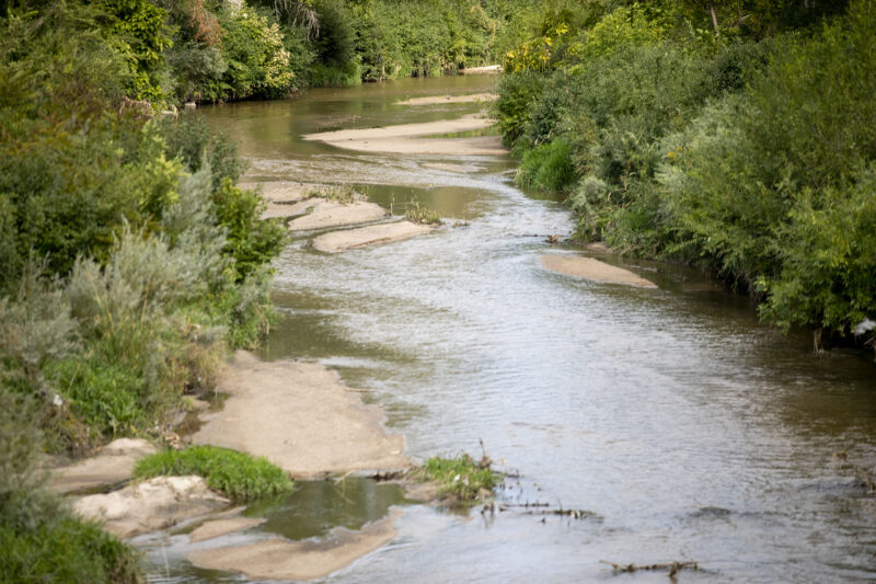 Cherry Creek's 12.5acre former Bed Bath and Beyond lot could soon have