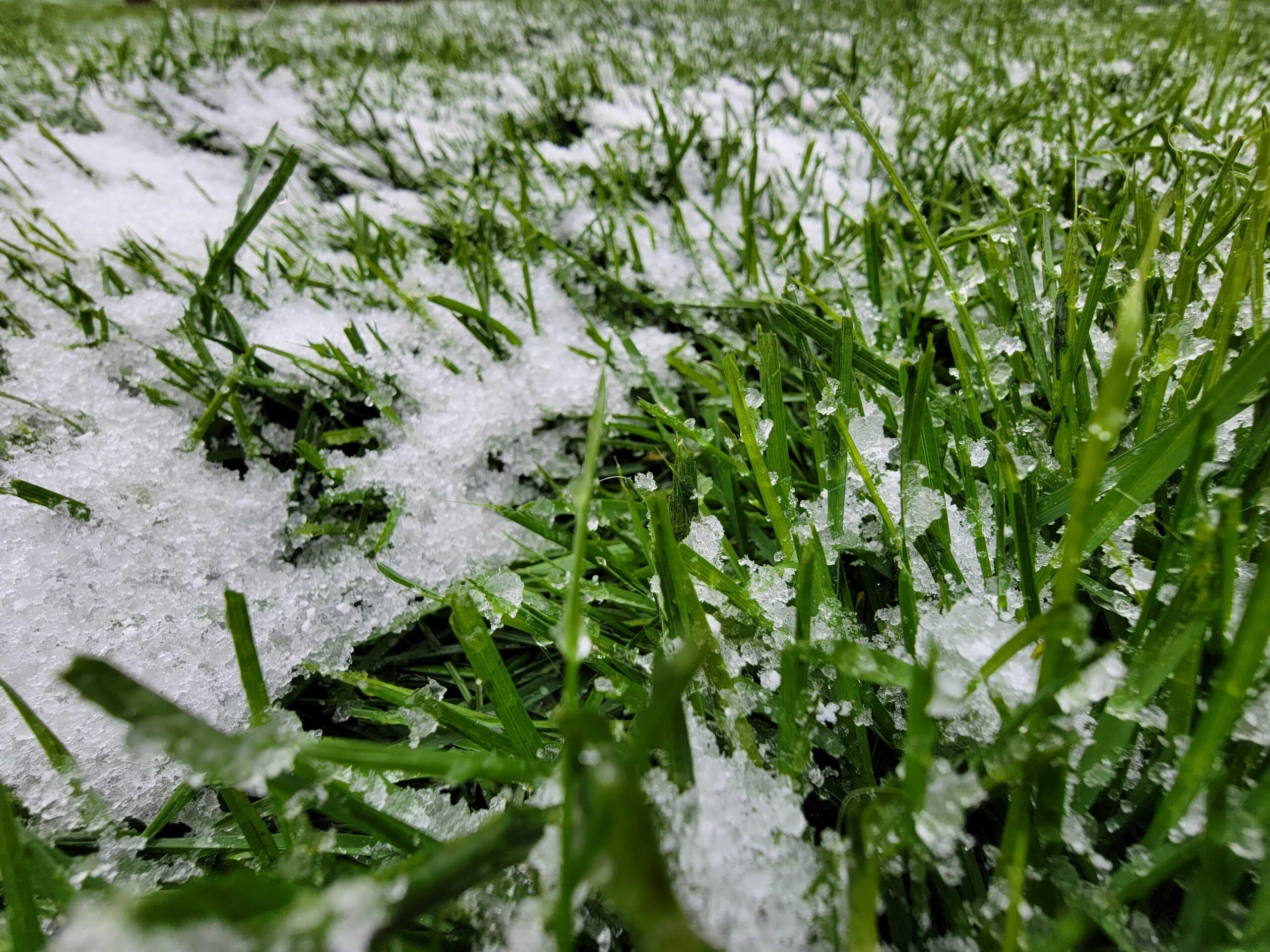 It's snowing! But it may not count as Denver's first official first