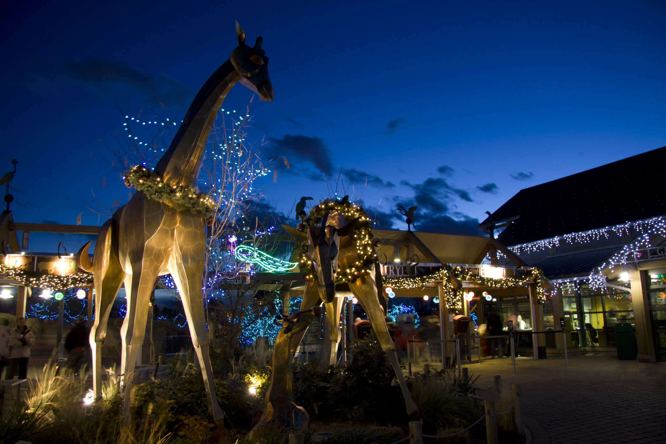 Denver Zoo Lights will offer a 'neurodiverse' experience on New Year's