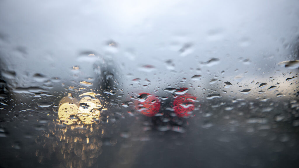 Rainy Days and Memories: Reflections on Wet Weather