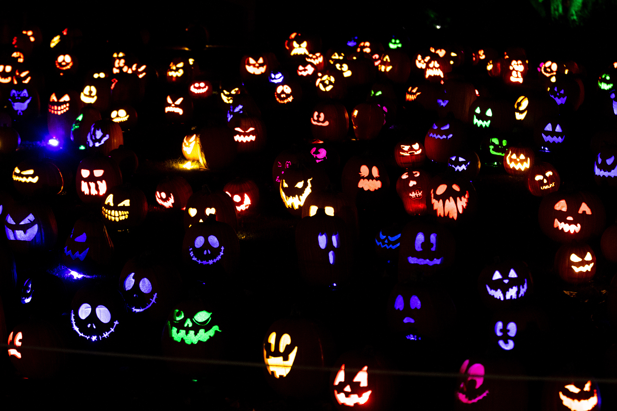 24 Halloween events in and around Denver Denverite, the Denver site!