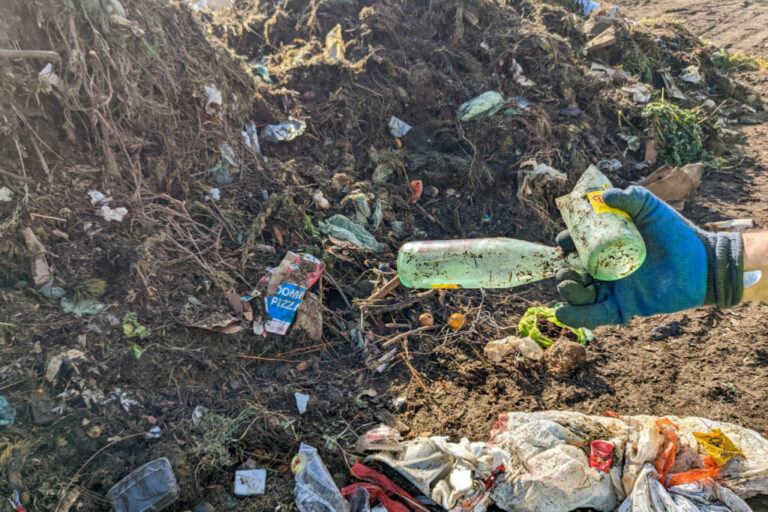 A howto guide to composting in Denver What can be composted, who has