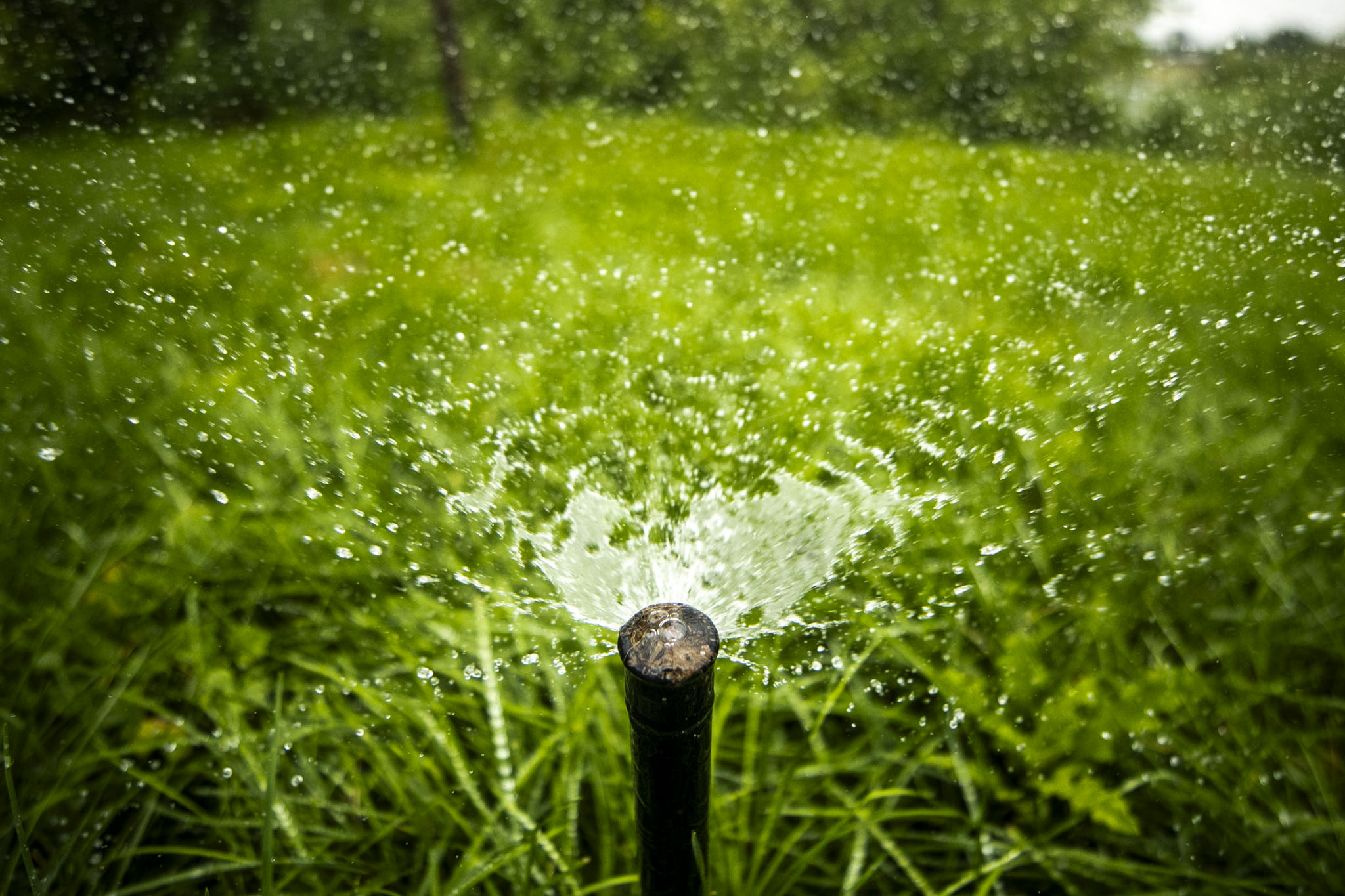 Snitch on your water-wasting neighbors with this new Denver Water form