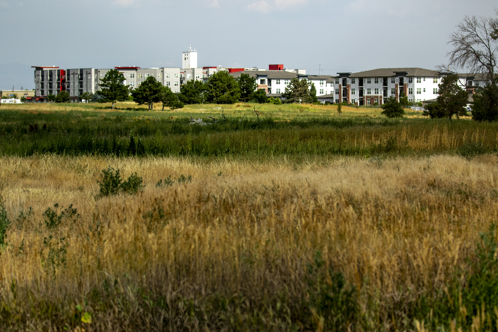 Vibrant Denver bond, 5 million for outdoor spaces