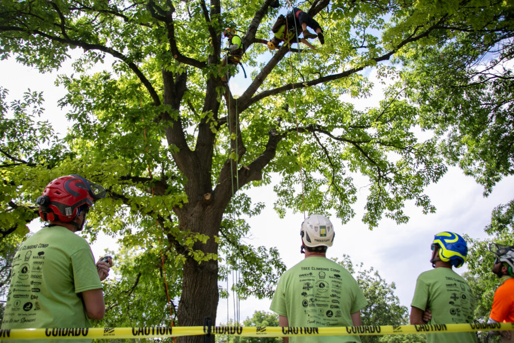 Edward Cruise prepares to lower a large, human dummy from a tree, while a group of four men in helmets and safety glasses look up at him from the ground.