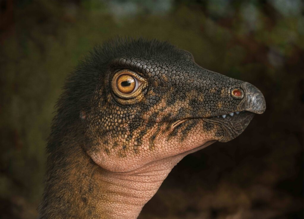 Denver science museum discovers dinosaur deep beneath its own parking lot