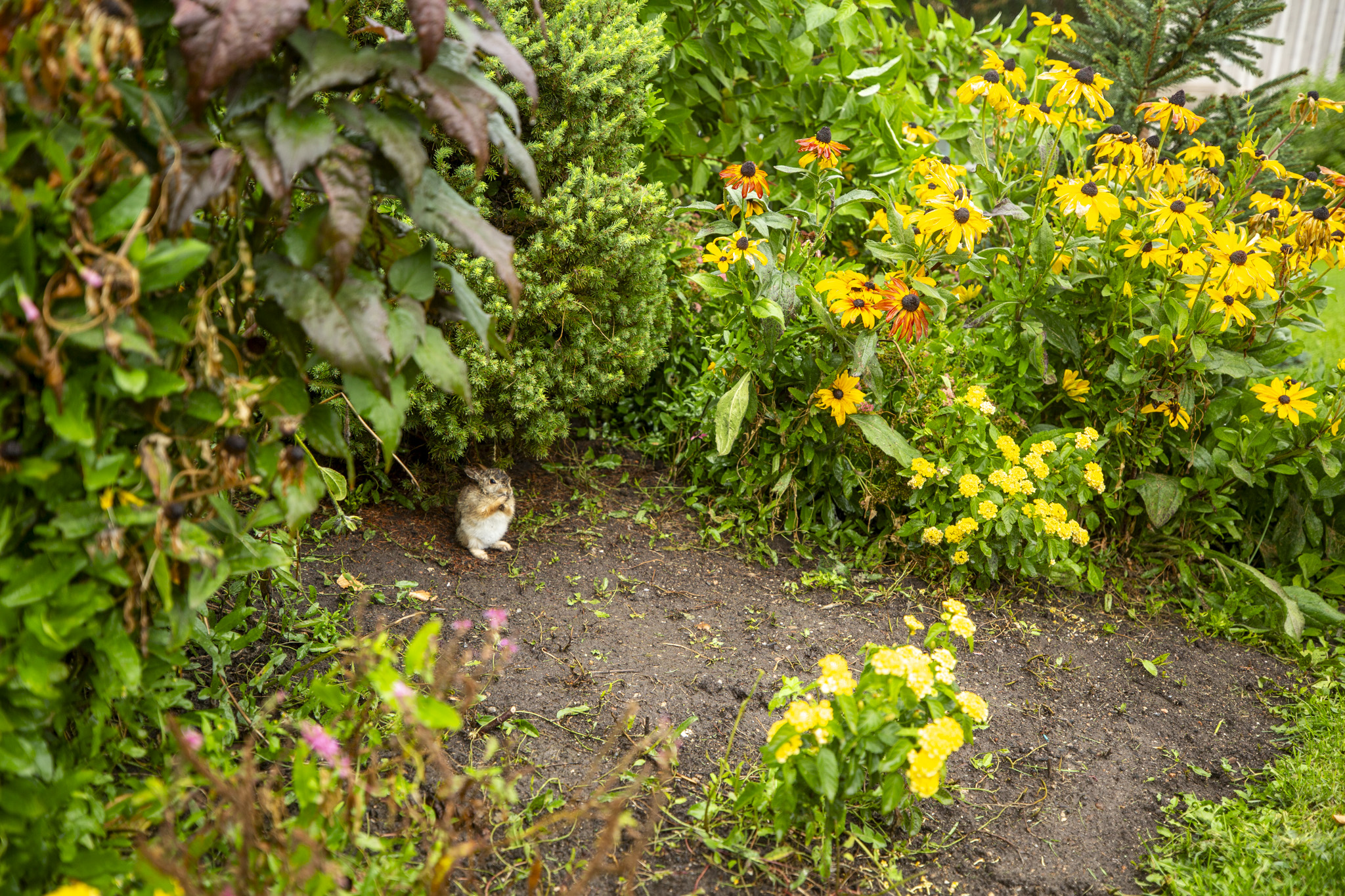 Where to celebrate spring and Easter in the Denver metro