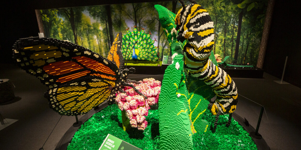 251114-DMNS-DENVER-MUSEUM-OF-