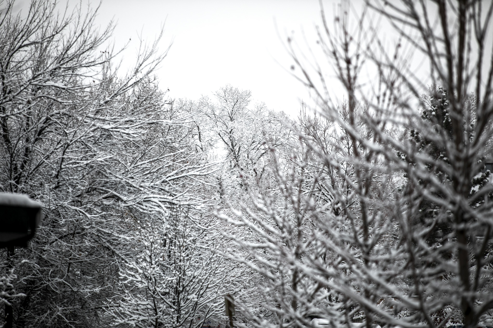 Remember snow? It’s finally returning to Denver on Friday