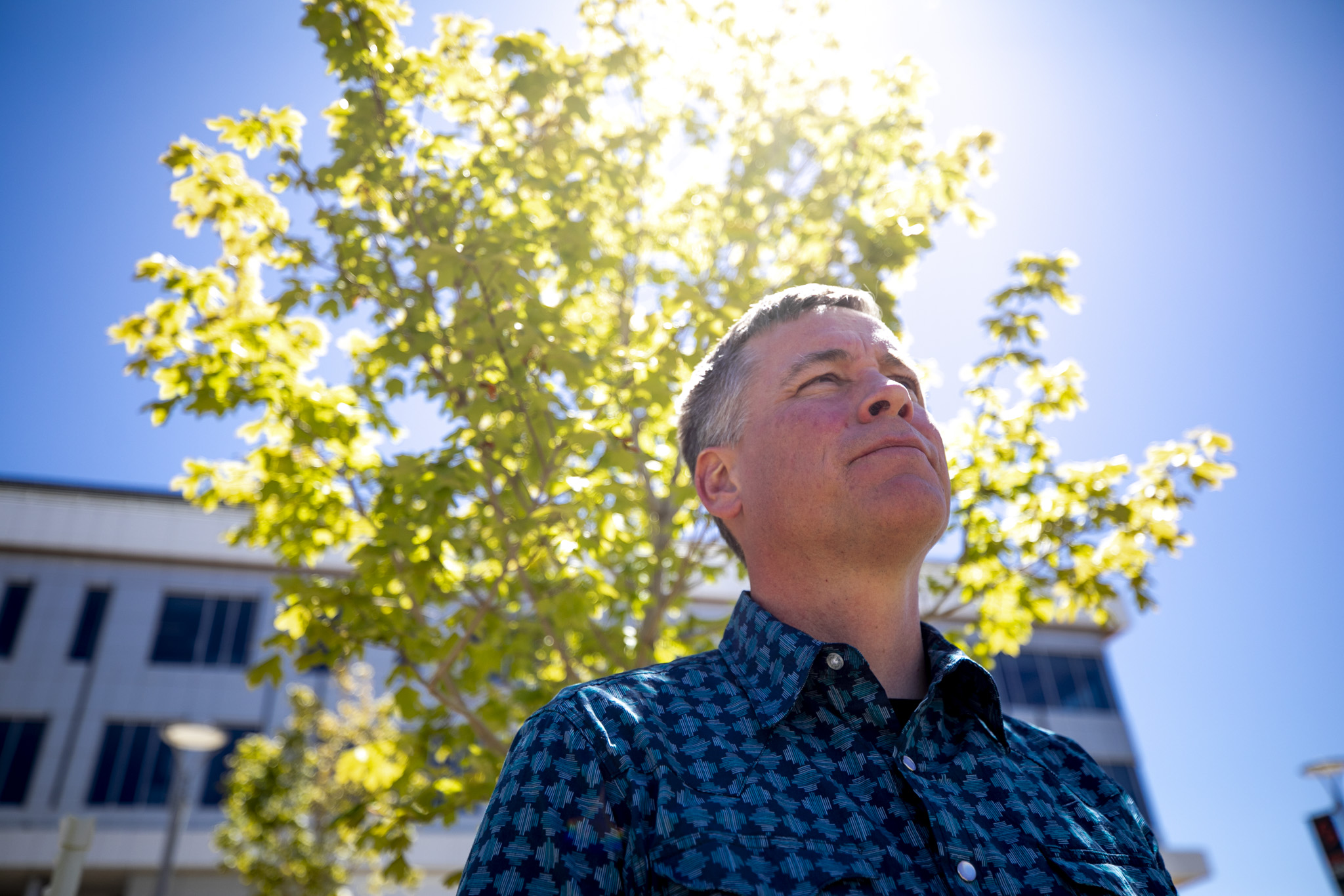 The search is on for Denver's next great shade tree
