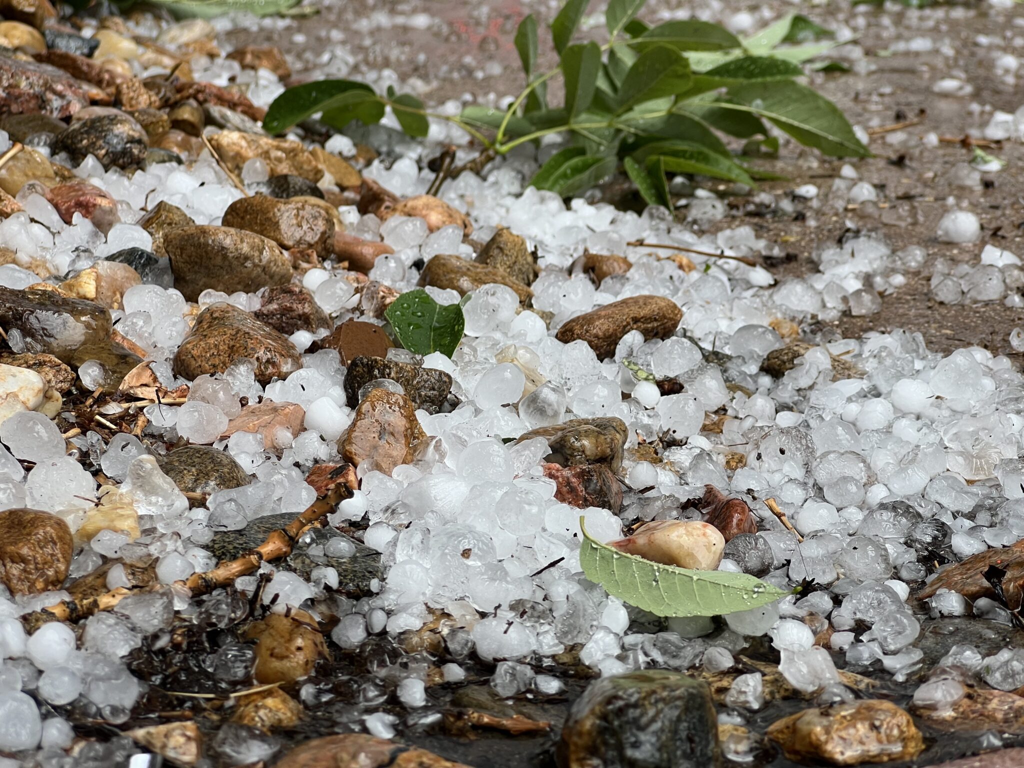 Sirens sounded 'inadvertently' during Denver tornado watch